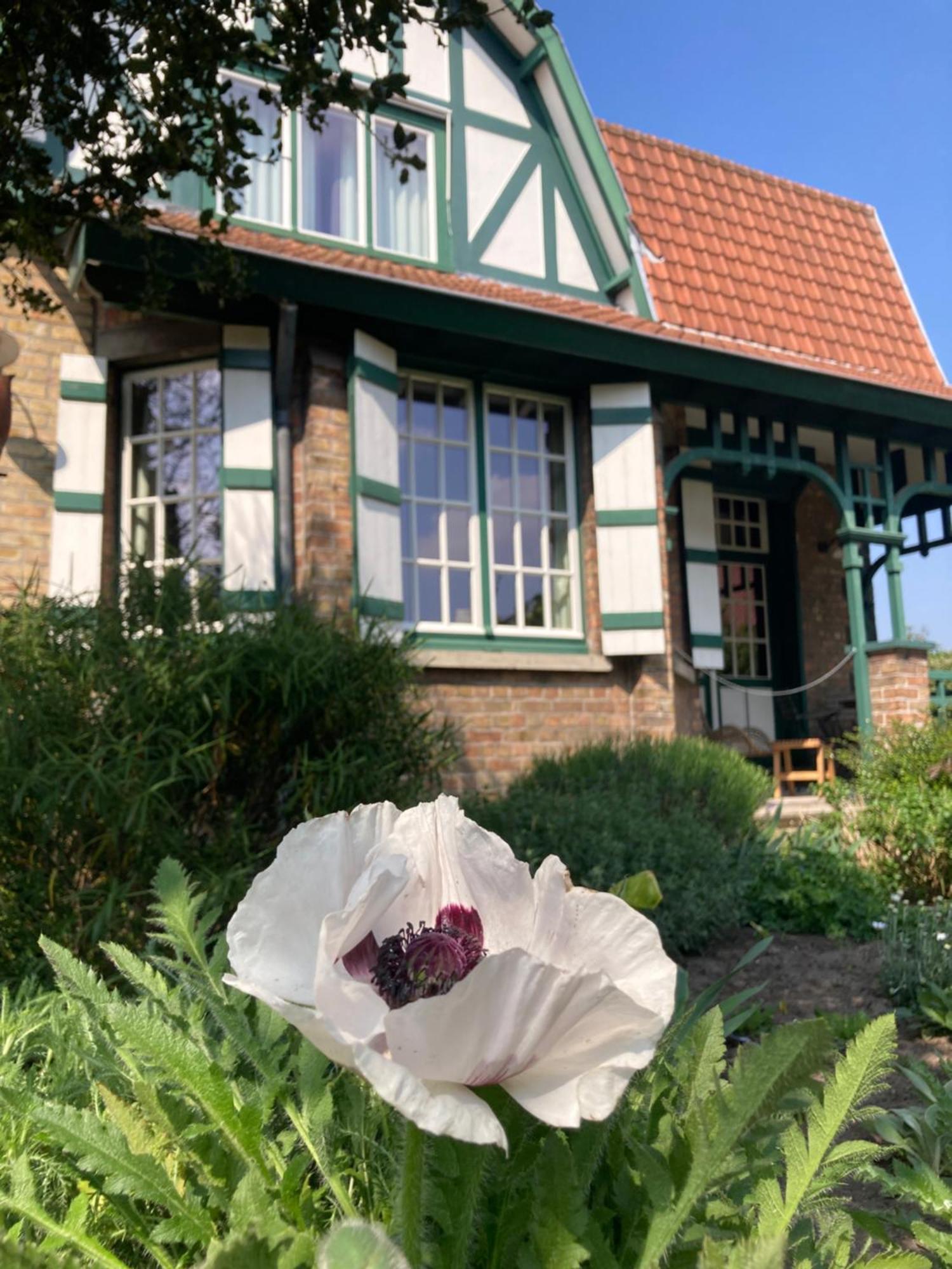 Bed and Breakfast Tree & B Bruges Esterno foto